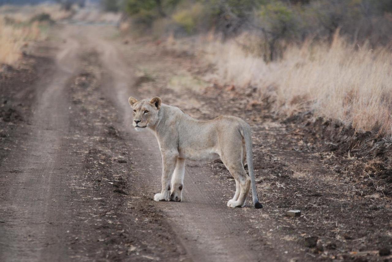 Kgorogoro Lodge Pilanesberg Dış mekan fotoğraf